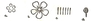 water crowfoot flower