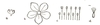 wood sorrel flower